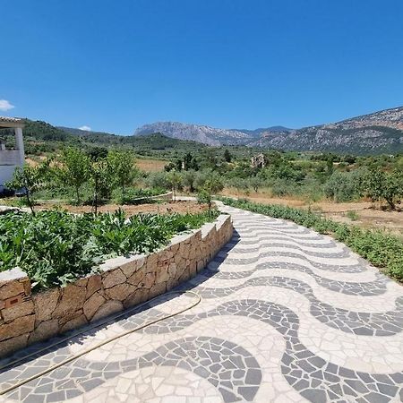 Villa Biriculi Dorgali Exteriör bild