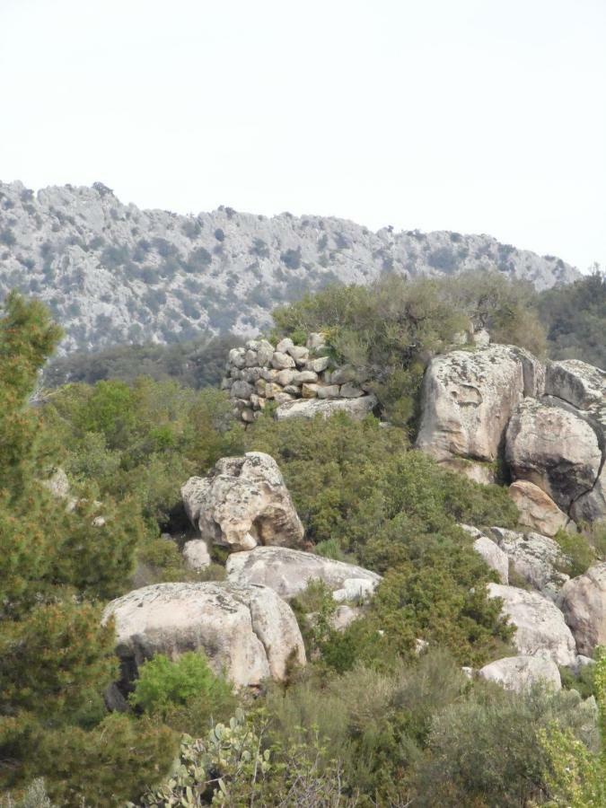 Villa Biriculi Dorgali Exteriör bild